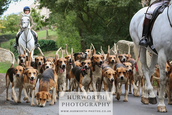 Hurworth Hunt 053