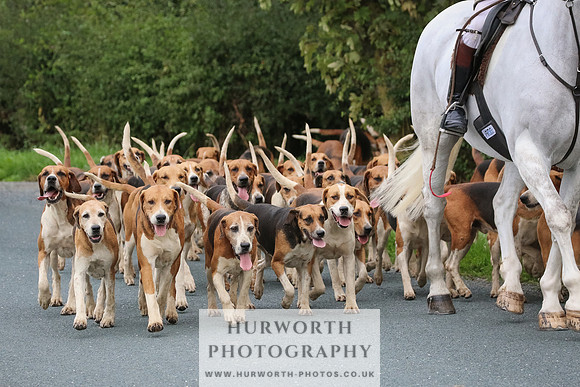 Hurworth Hunt 125