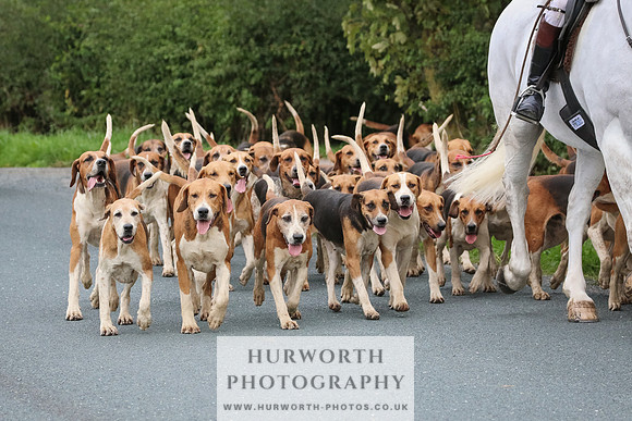 Hurworth Hunt 126