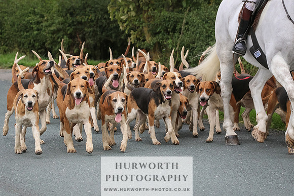 Hurworth Hunt 127