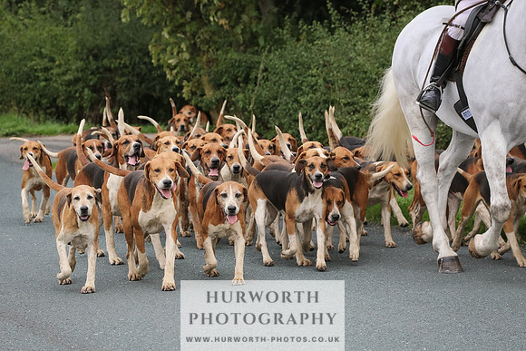 Hurworth Hunt 128