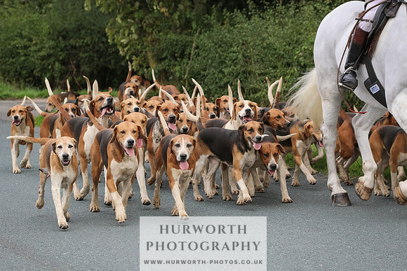 Hurworth Hunt 129