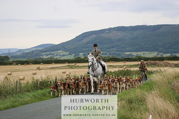 Hurworth Hunt 194