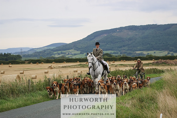 Hurworth Hunt 195