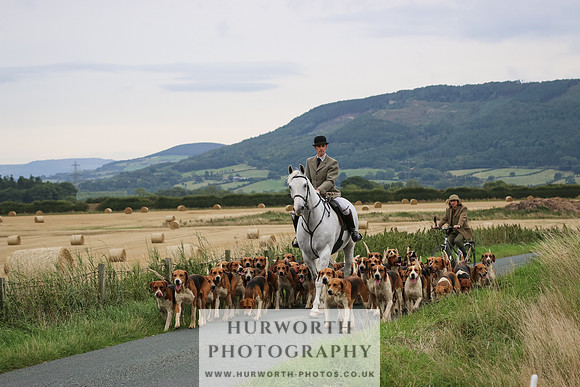 Hurworth Hunt 196