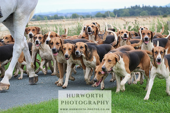 Hurworth Hunt 201