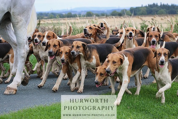 Hurworth Hunt 202