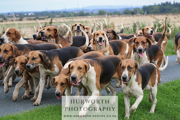 Hurworth Hunt 204