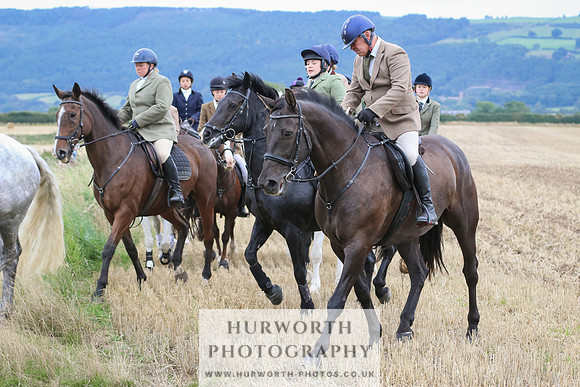 Hurworth Hunt 215