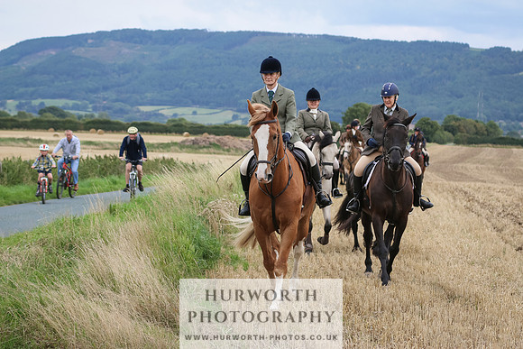 Hurworth Hunt 223