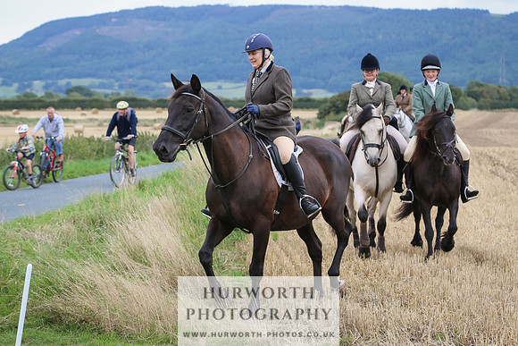 Hurworth Hunt 225