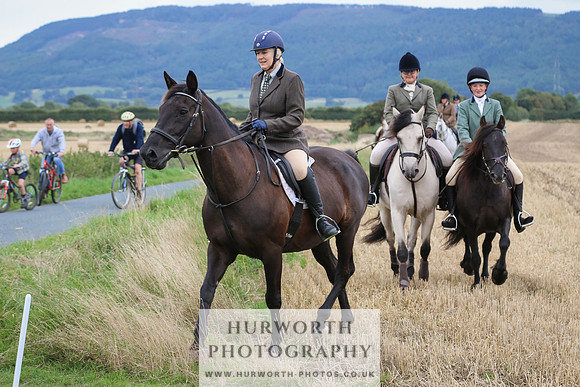 Hurworth Hunt 226