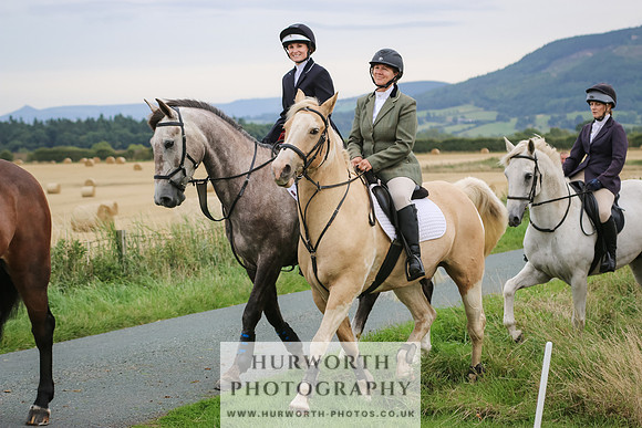Hurworth Hunt 237