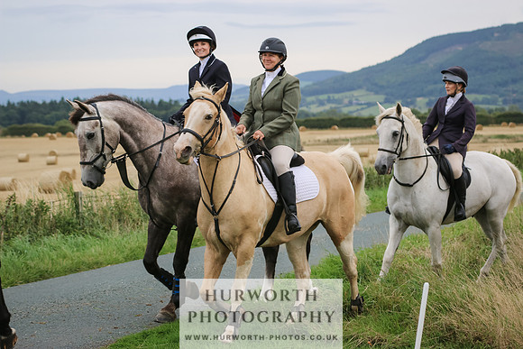 Hurworth Hunt 238