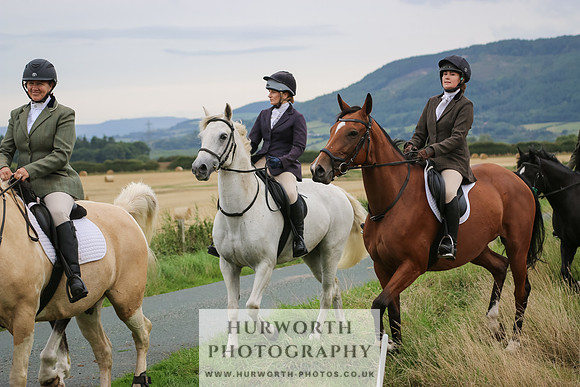 Hurworth Hunt 240