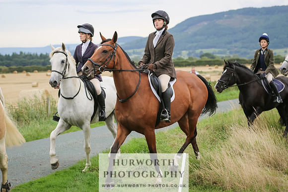 Hurworth Hunt 241