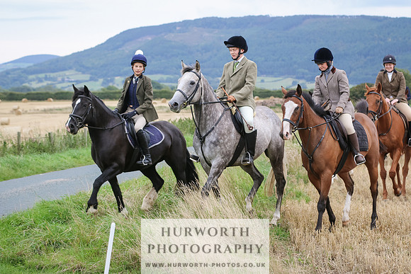 Hurworth Hunt 242