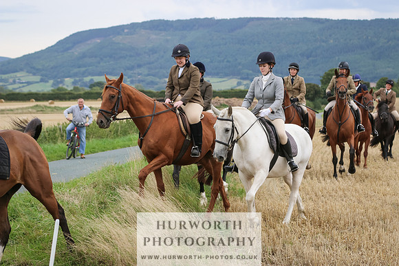 Hurworth Hunt 243