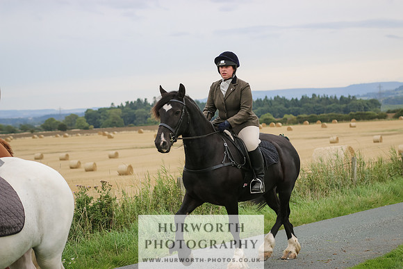 Hurworth Hunt 245