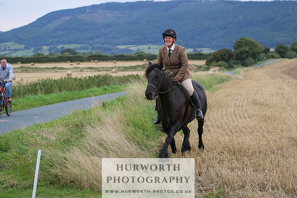 Hurworth Hunt 246
