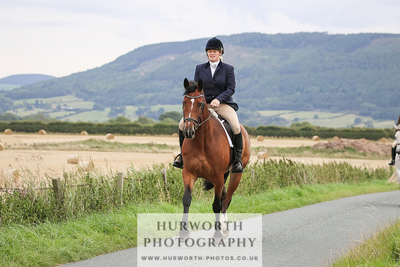 Hurworth Hunt 248