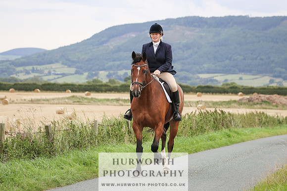 Hurworth Hunt 249