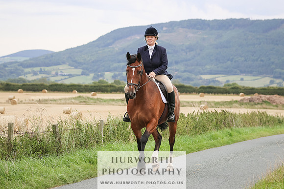 Hurworth Hunt 250