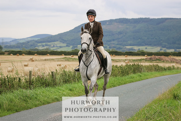 Hurworth Hunt 252