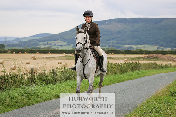 Hurworth Hunt 253