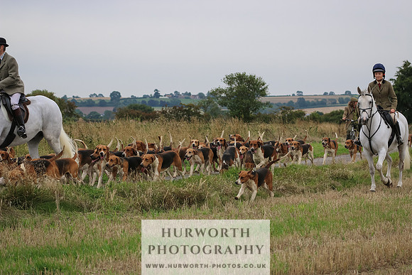 Hurworth Hunt 259