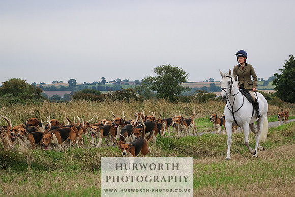 Hurworth Hunt 260