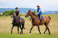 Hurworth Middleham Ride 4