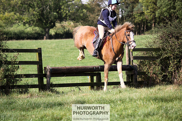Hurworth Bilsdale Hedge Hop 326
