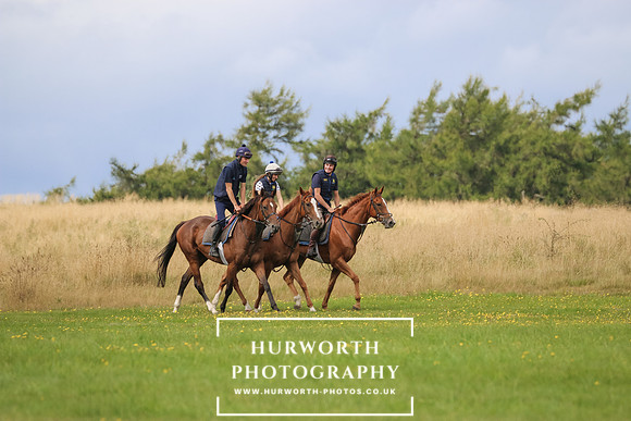Hurworth Middleham Ride 337
