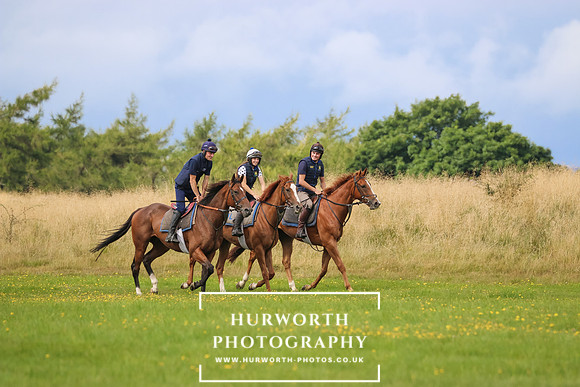 Hurworth Middleham Ride 338
