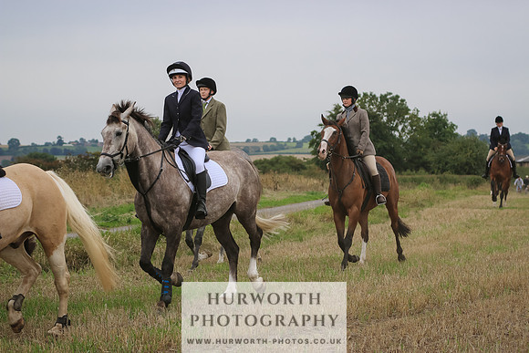 Hurworth Hunt 294