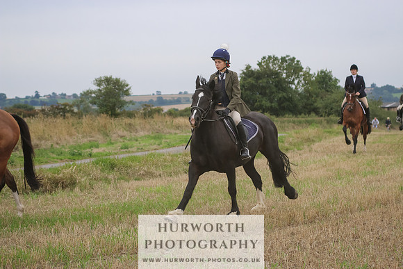 Hurworth Hunt 295