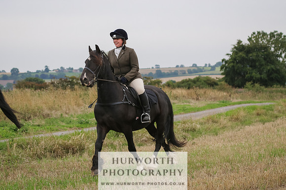Hurworth Hunt 303