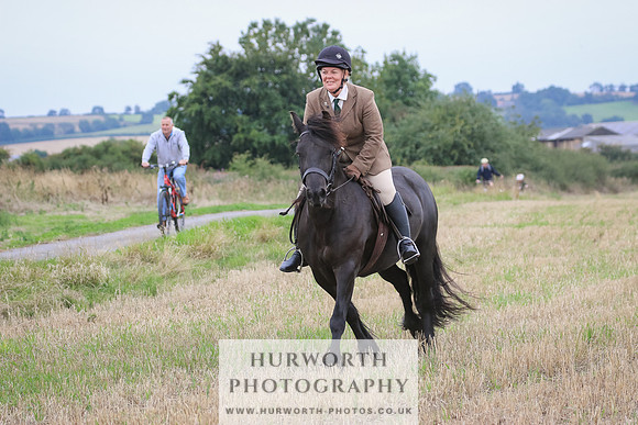 Hurworth Hunt 307