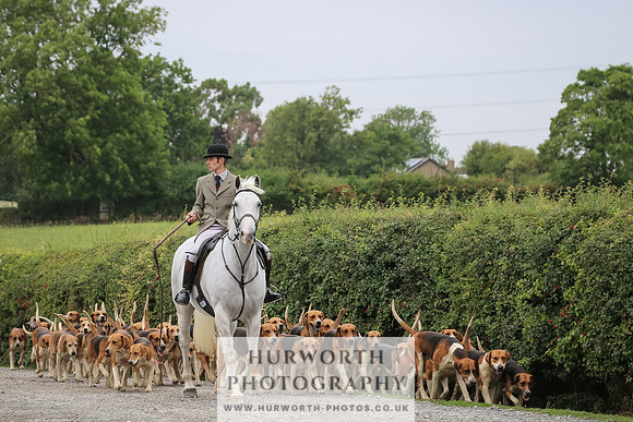 Hurworth Hunt 310