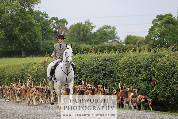 Hurworth Hunt 311