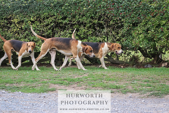 Hurworth Hunt 314