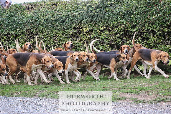Hurworth Hunt 316