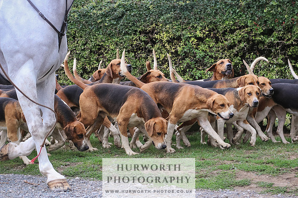 Hurworth Hunt 317
