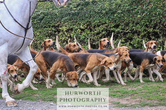 Hurworth Hunt 318