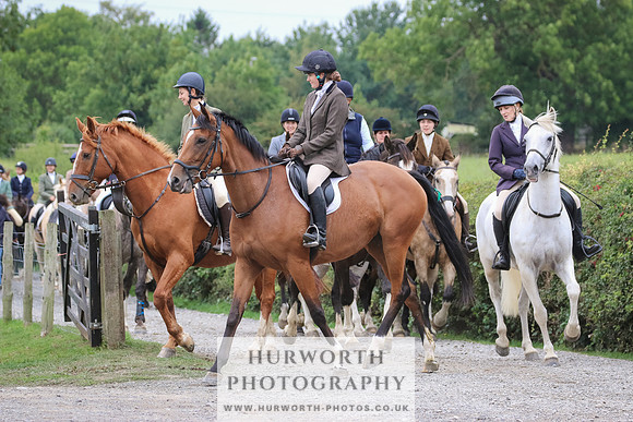 Hurworth Hunt 331