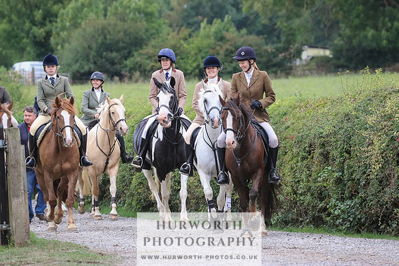 Hurworth Hunt 339