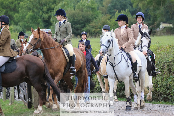 Hurworth Hunt 343