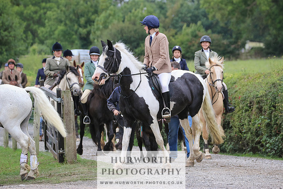 Hurworth Hunt 347