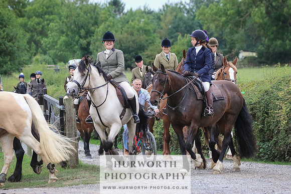 Hurworth Hunt 354